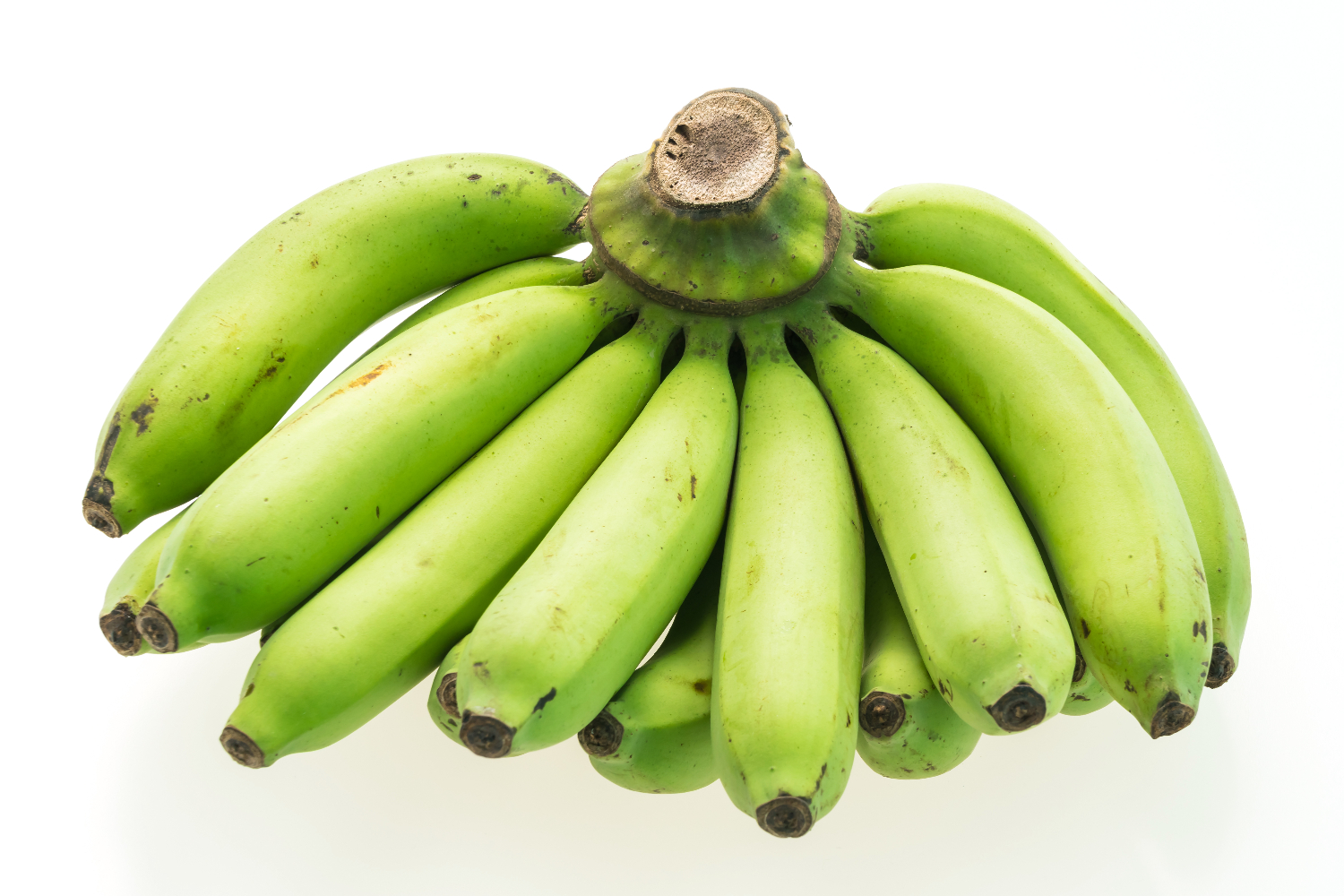 platanos